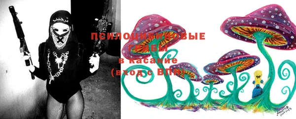 эйфоретик Абаза