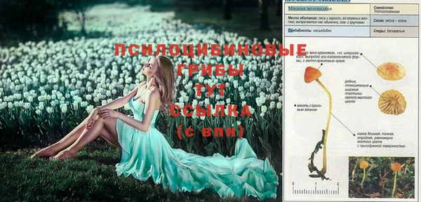 MDMA Premium VHQ Няндома