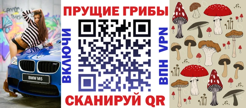 Галлюциногенные грибы Cubensis  Нижнекамск 